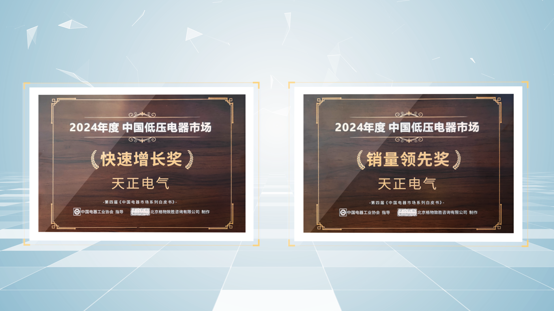 销量领先、快速增长丨pg试玩在线网站免费荣膺2项行业年度大奖